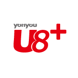 用友u8软件具有什么特点